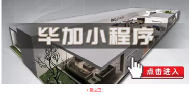 畢加邂逅小“情人”，那就再愛一次吧
